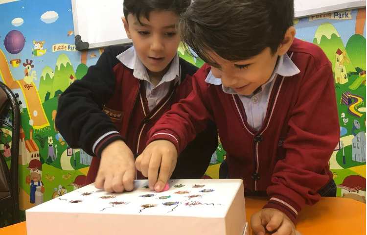 تقویت مهارت دست‌ورزی-زنگ زبان عمومی 4