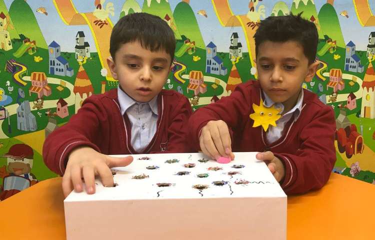 تقویت مهارت دست‌ورزی-زنگ زبان عمومی 5