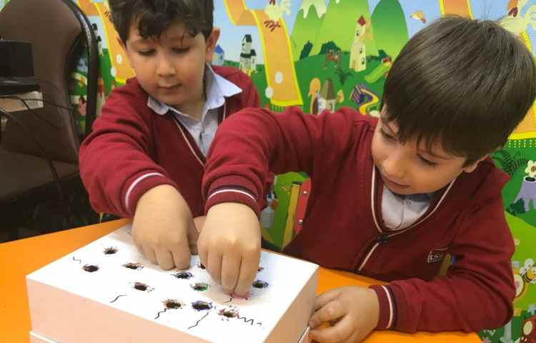 تقویت مهارت دست‌ورزی-زنگ زبان عمومی 6