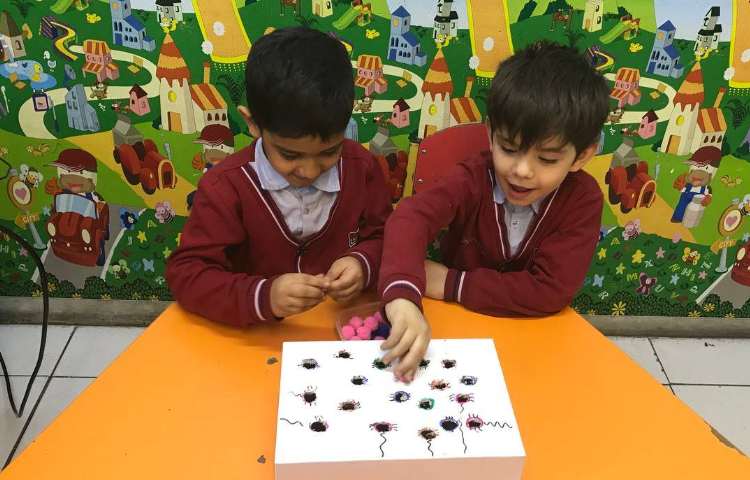 تقویت مهارت دست‌ورزی-زنگ زبان عمومی