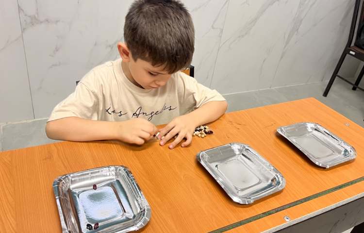 تقویت مهارت دست‌ورزی در زنگ زبان عمومی 1