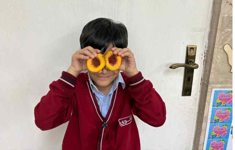 تلفیقی علوم و فارسی 1