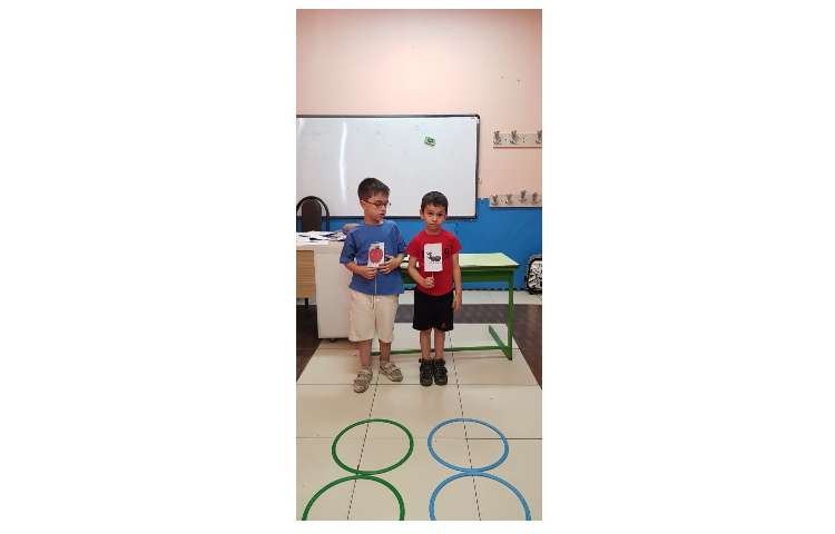 تلفیق انواع خطوط 2