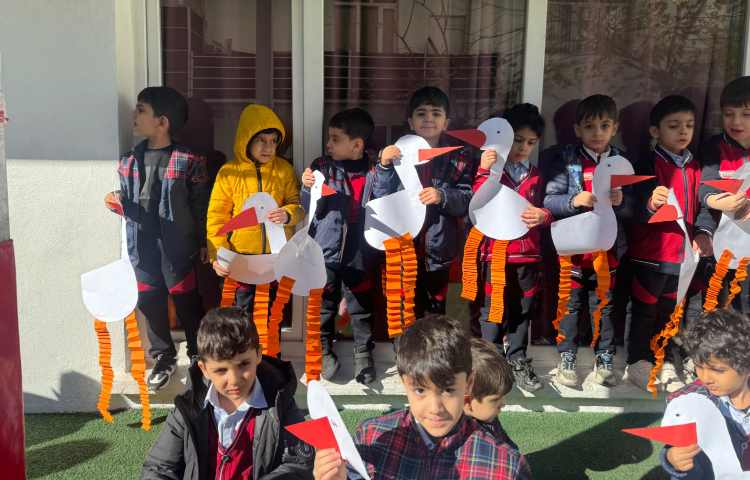 تلفیق ریاضی و علوم:عدد 4 و پرندگان 1