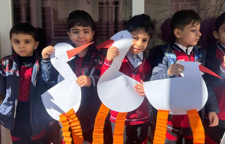 تلفیق ریاضی و علوم:عدد 4 و پرندگان 3