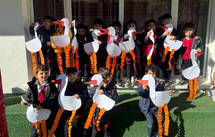 تلفیق ریاضی و علوم:عدد 4 و پرندگان 4