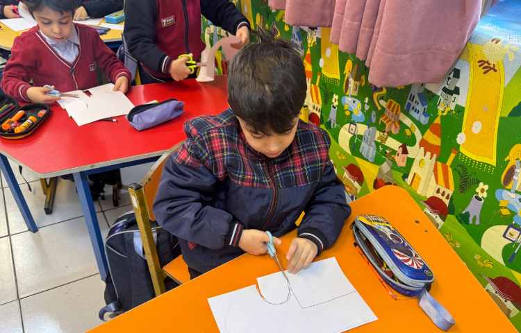 تلفیق ریاضی و علوم:عدد 4 و پرندگان