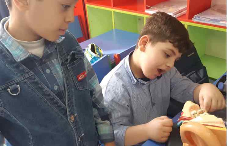 تلفیق فارسی و علوم(درس مدرسه ی خرگوش ها و آشنایی با گوش همراه مولاژ گوش) 5