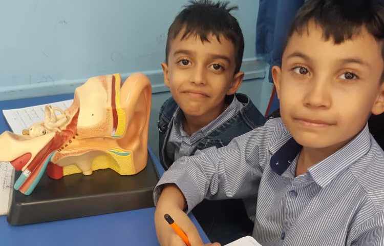 تلفیق فارسی و علوم(درس مدرسه ی خرگوش ها و آشنایی با گوش همراه مولاژ گوش)