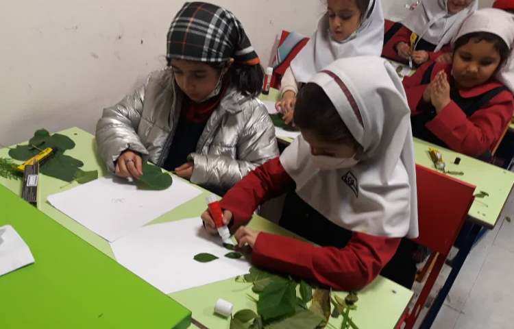 تلفیق هنر و علوم 1