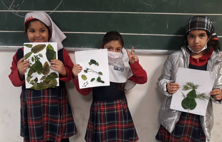 تلفیق هنر و علوم 4