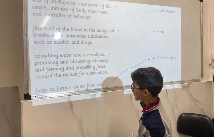 تمرین اسامی ارگان‌های بدن و وظایف هر کدام-زنگ Science 1