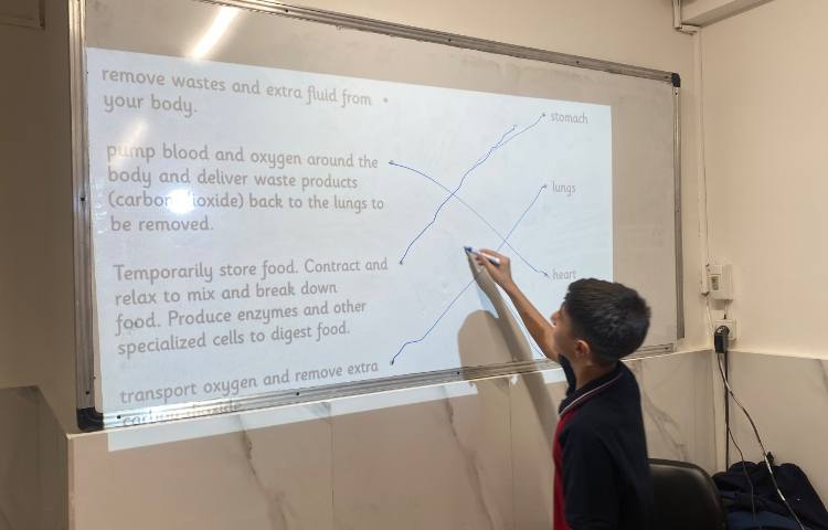 تمرین اسامی ارگان‌های بدن و وظایف هر کدام-زنگ Science 2