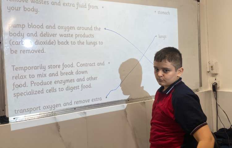 تمرین اسامی ارگان‌های بدن و وظایف هر کدام-زنگ Science 3