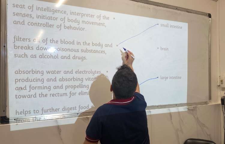 تمرین اسامی ارگان‌های بدن و وظایف هر کدام-زنگ Science