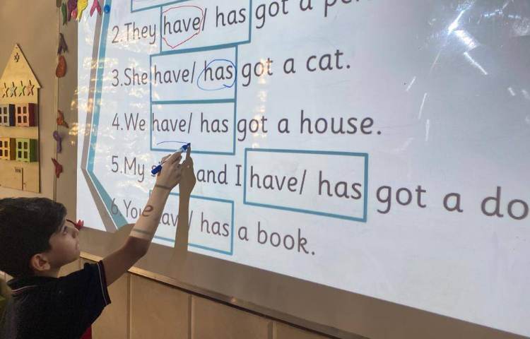 تمرین have got/ has got با انجام کاربرگ 1