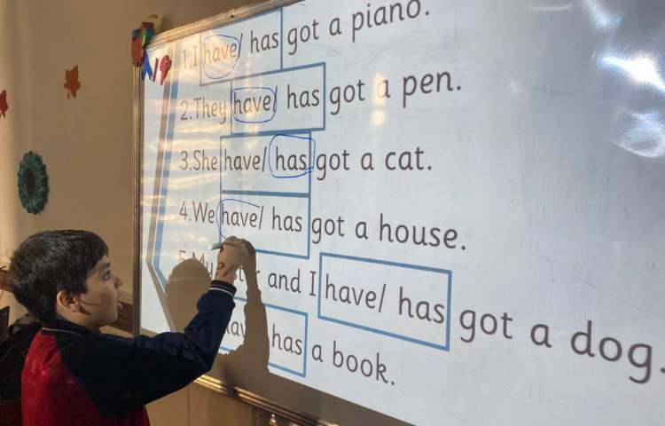 تمرین have got/ has got با انجام کاربرگ 2