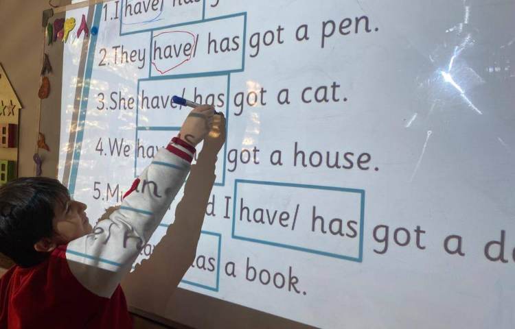 تمرین have got/ has got با انجام کاربرگ 2