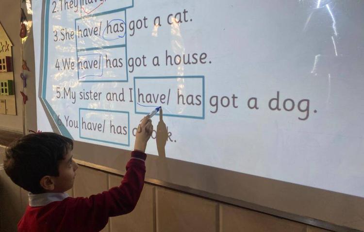 تمرین have got/ has got با انجام کاربرگ 3