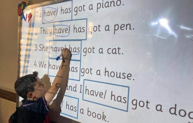 تمرین have got/ has got با انجام کاربرگ