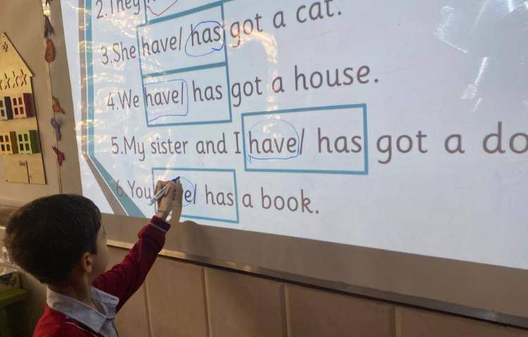 تمرین have got/ has got با انجام کاربرگ