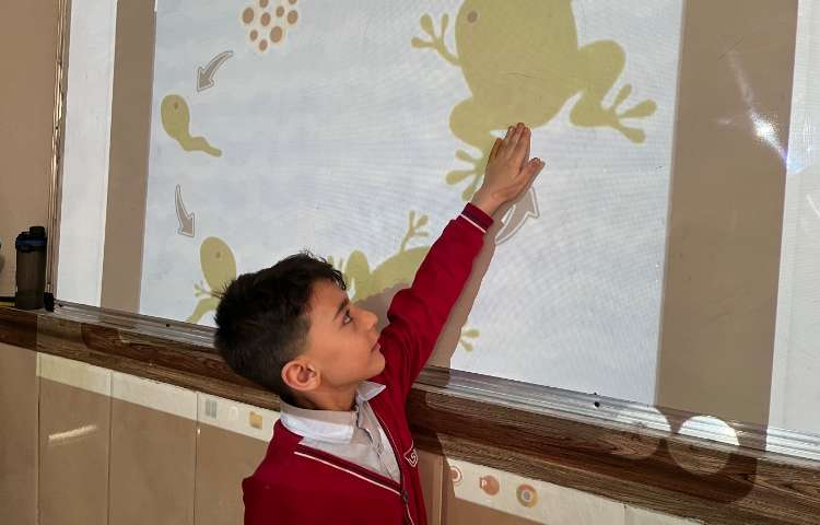 تمرین بیانِ چرخه‌ی زندگی قورباغه-زنگ Science 1