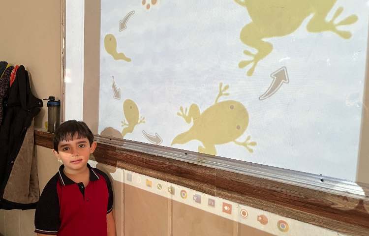 تمرین بیانِ چرخه‌ی زندگی قورباغه-زنگ Science 3