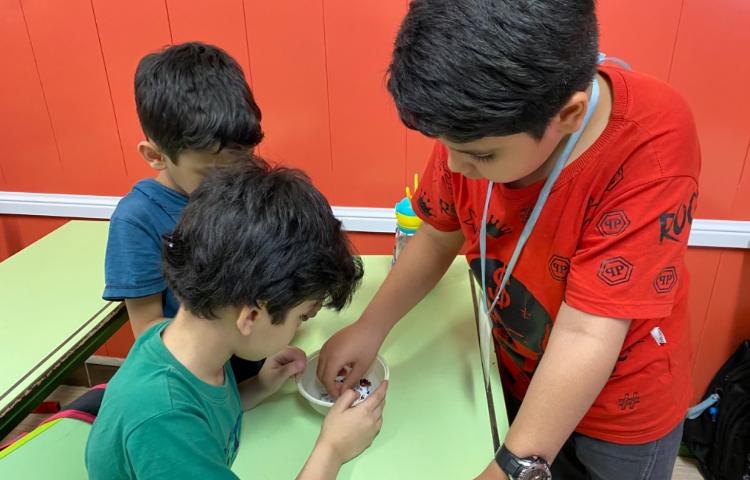 : تمرین جمله سازی با استفاده از کلمات بهم ریخته 4