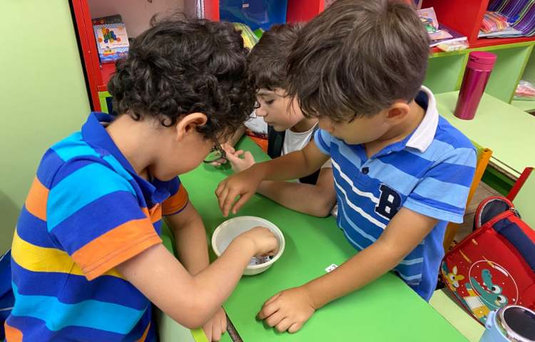 : تمرین جمله سازی با استفاده از کلمات بهم ریخته