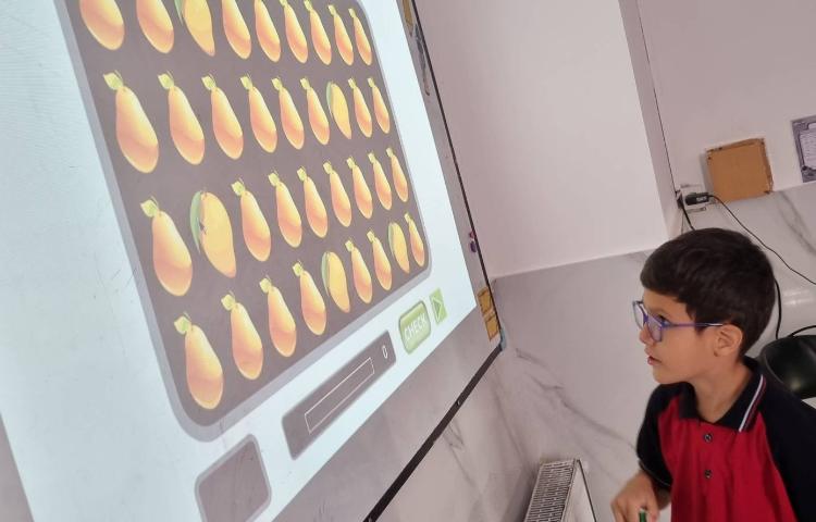 تمرین جمله‌سازی با There is There are و پاسخ به سوالات How many 1