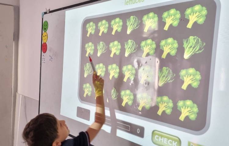 تمرین جمله‌سازی با There is There are و پاسخ به سوالات How many 2