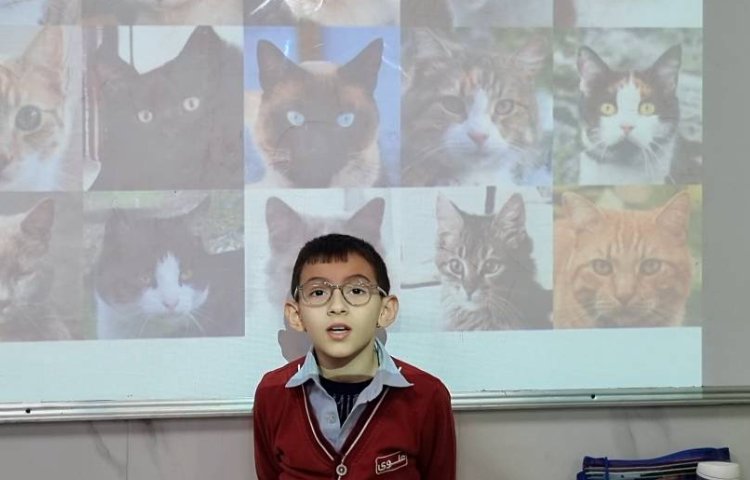 تمرین جمله‌سازی با There is/ There are 2