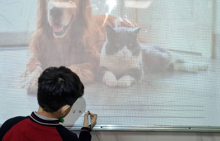 تمرین جمله‌سازی با There is/ There are 4