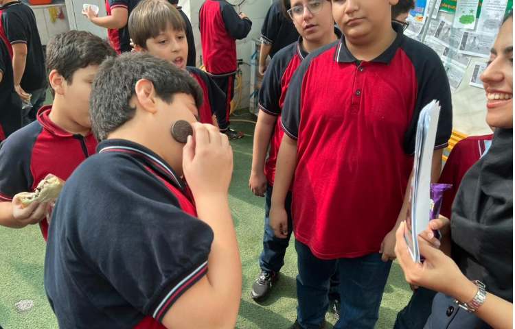 تمرین جمله سازی در Immersion/زنگ تفریح توسط معلمین زبان 3