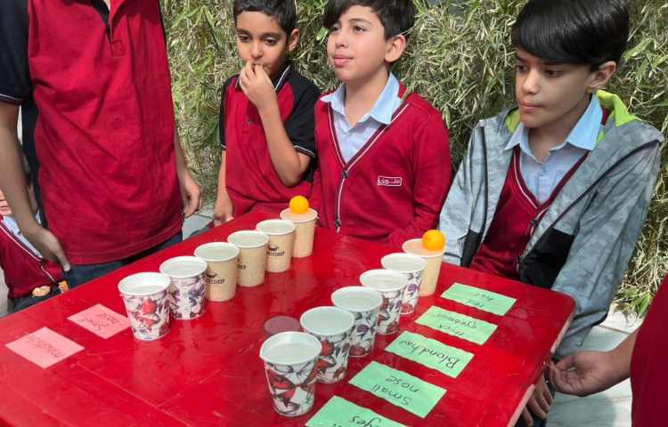 تمرین جمله سازی در Immersion/زنگ تفریح توسط معلمین زبان 3