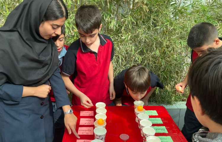 تمرین جمله سازی در Immersion/زنگ تفریح توسط معلمین زبان 4