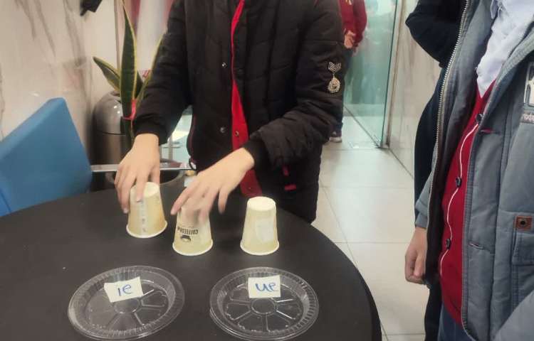 تمرین جمله سازی در زنگ تفریح توسط معلمین زبان 4