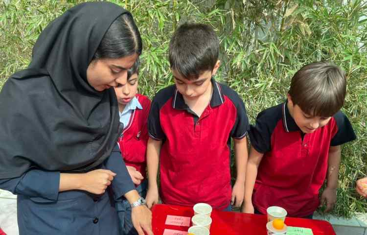 تمرین جمله سازی در Immersion/زنگ تفریح توسط معلمین زبان 5