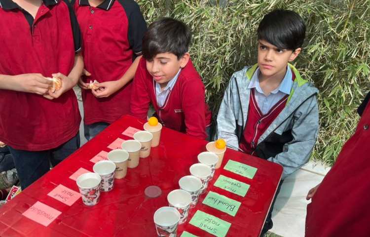 تمرین جمله سازی در Immersion/زنگ تفریح توسط معلمین زبان 6