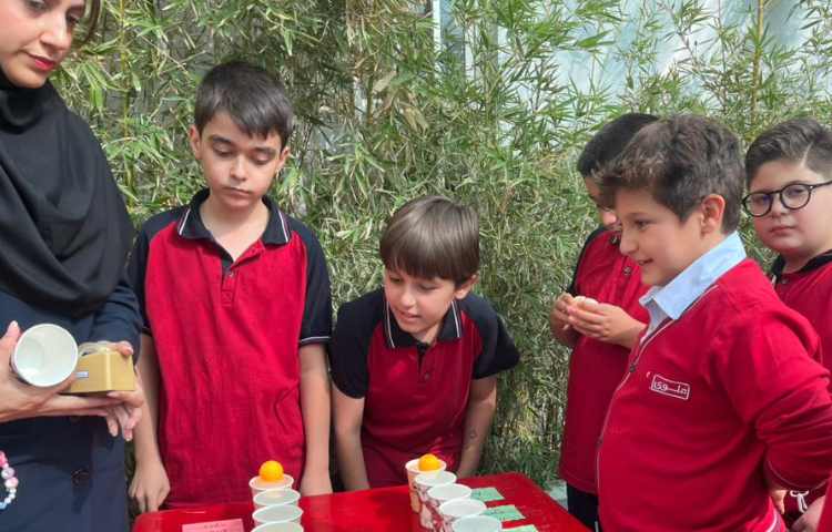 تمرین جمله سازی در Immersion/زنگ تفریح توسط معلمین زبان 7