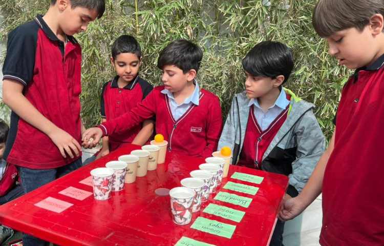 تمرین جمله سازی در Immersion/زنگ تفریح توسط معلمین زبان