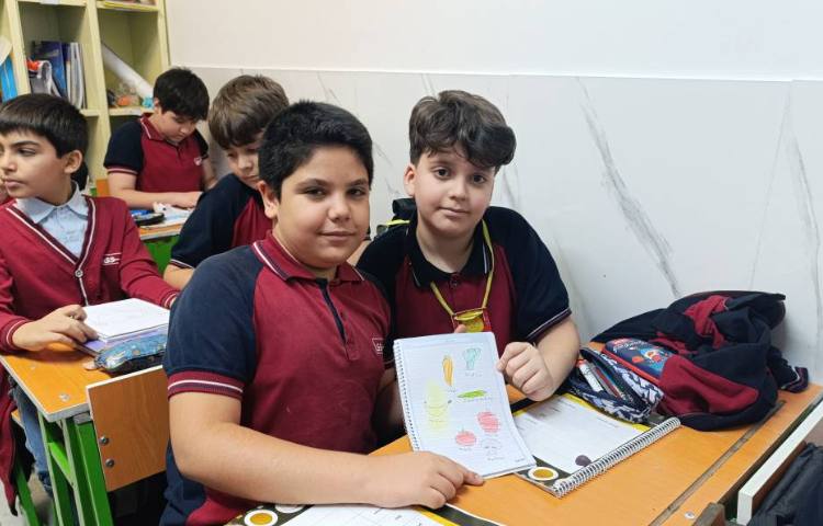 تمرین جمله سازی در زنگ علوم به زبان انگلیسی 4