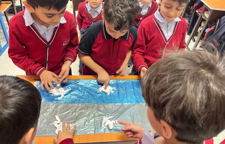 تمرین Letter Formation حروف با بازی 4