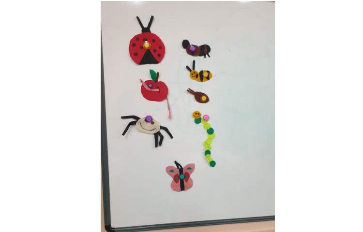 تمرین حشرات با تصاویر و طبقه بندی آنها 1