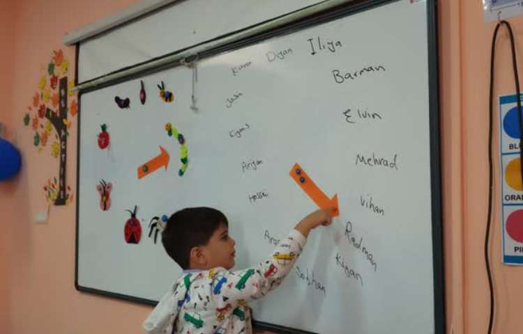 تمرین حشرات با تصاویر و طبقه بندی آنها 2