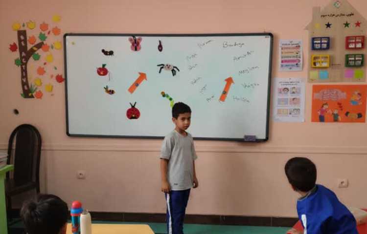 تمرین حشرات با تصاویر و طبقه بندی آنها 5