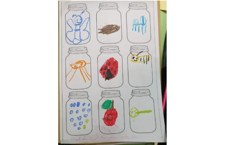 تمرین حشرات با تصاویر و طبقه بندی آنها 6