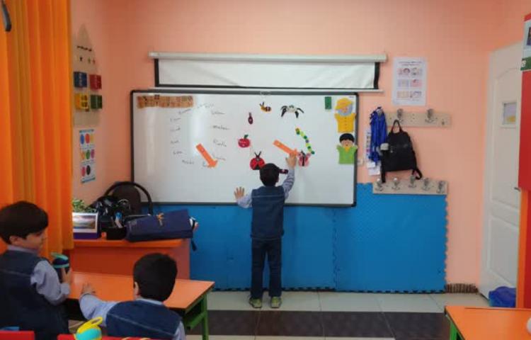 تمرین حشرات با تصاویر و طبقه بندی آنها