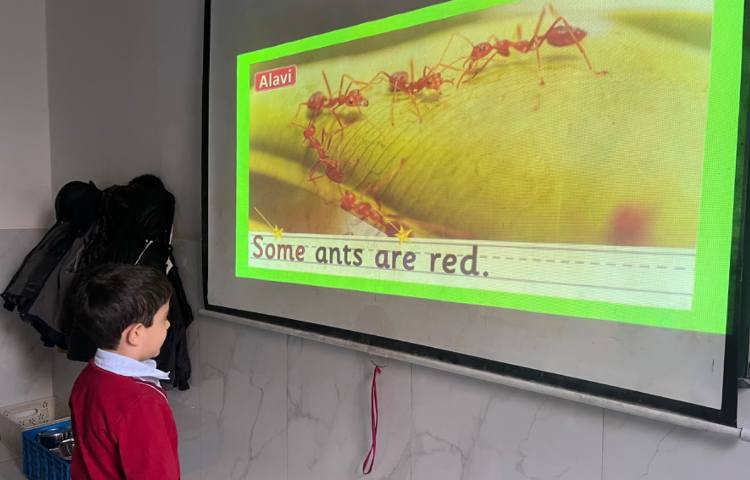 تمرین خواندن Tricky Word (some) 3