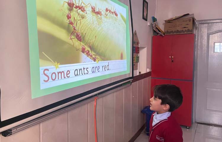 تمرین خواندن Tricky Word (some) 3